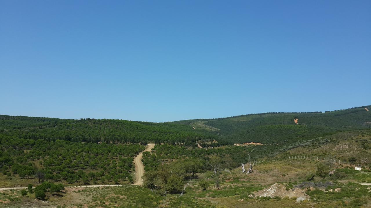 Termal Park Ξενοδοχείο Armutlu Εξωτερικό φωτογραφία